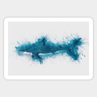 Cool Blue Shark Watercolor Art for the Ocean Lovers and Anglers Magnet